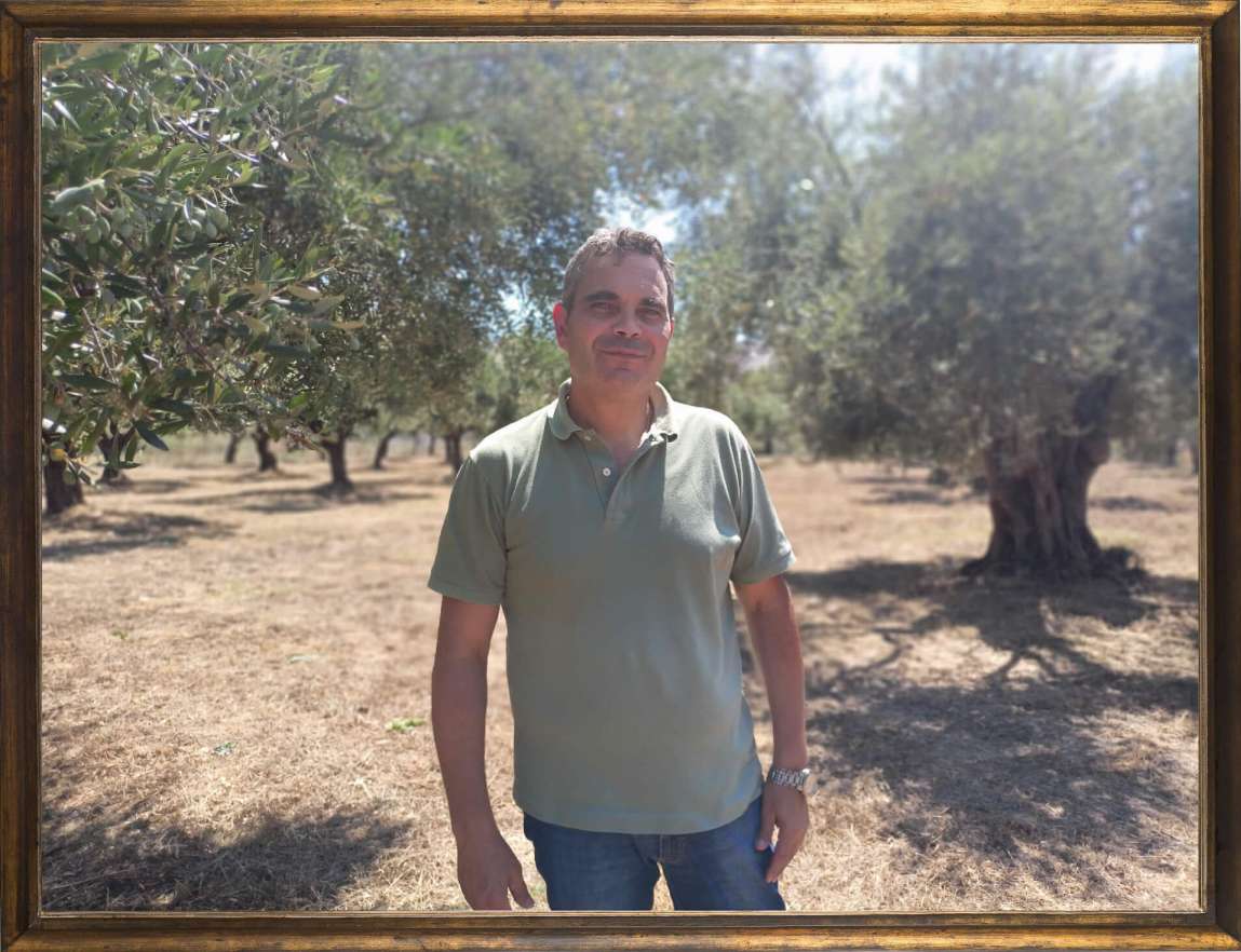 Astakos Olives - Lazaros Kalantzis Lazaros Kalantzis